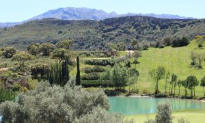 tarifas y precios del campo antequera golf