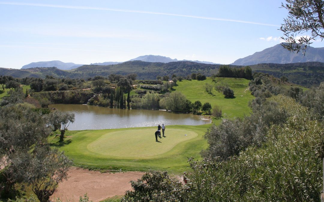 socios en el campo de golf