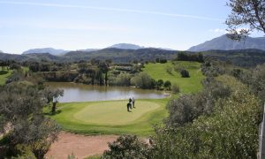 socios en el campo de golf