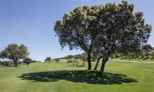hoyo 10 del campo antequera golf