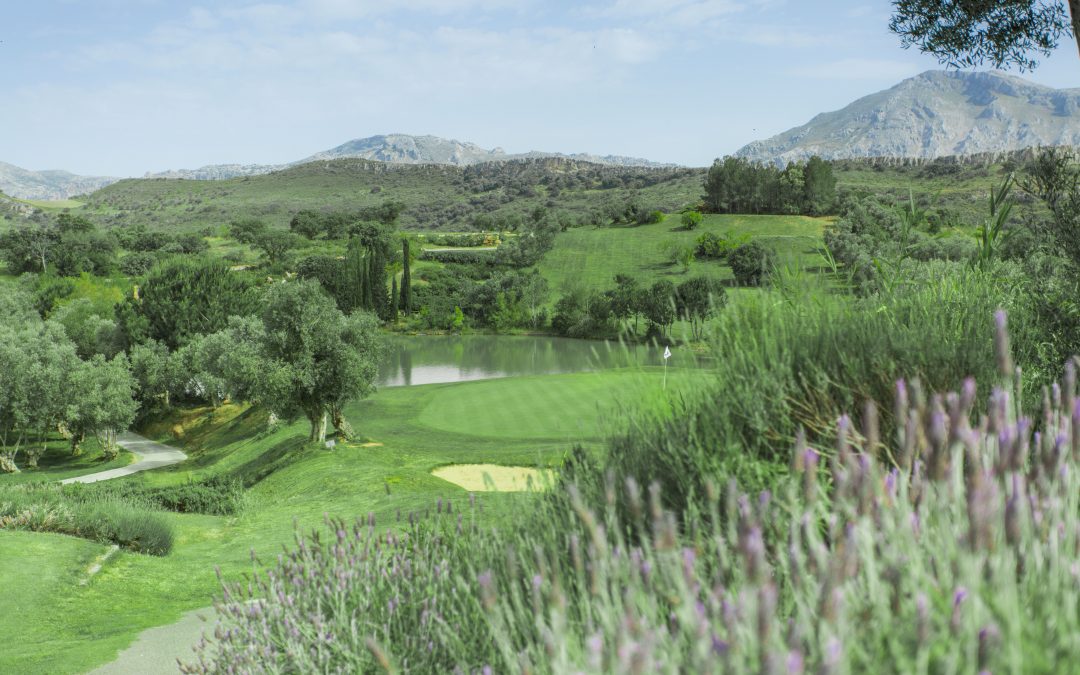 Ecological golf course in Malaga